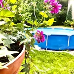 Jodla I Modrzew Przy Parku I Termach W Centrum Uzdrowiska Appartement