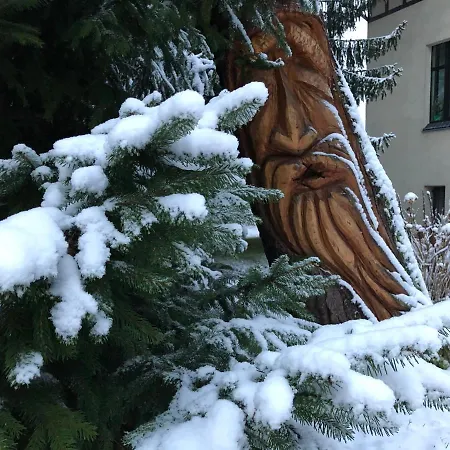 Jodla I Modrzew Przy Parku I Termach W Centrum Uzdrowiska * Jelenia Góra