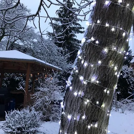 Jodla I Modrzew * Jelenia Góra