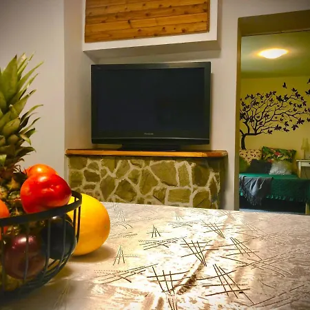 Jodla I Modrzew * Jelenia Góra