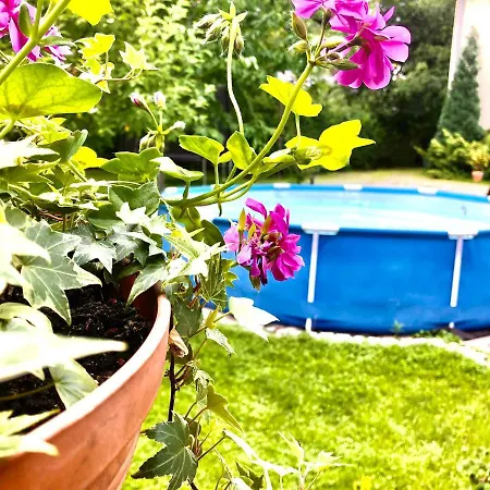 Jodla I Modrzew Apartment