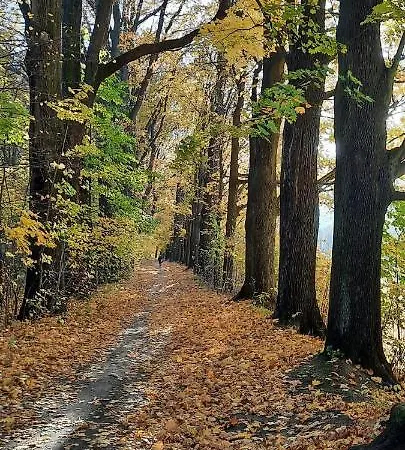 Jodla I Modrzew Apartment