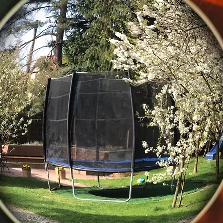 Jodla I Modrzew * Jelenia Góra