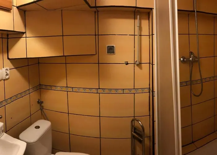 Jodla I Modrzew Przy Parku I Termach W Centrum Uzdrowiska *