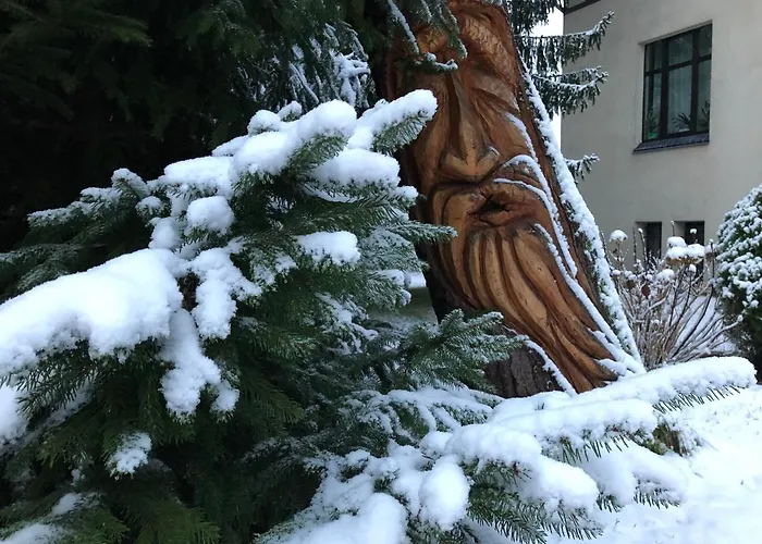 Jodla I Modrzew Przy Parku I Termach W Centrum Uzdrowiska * Jelenia Góra