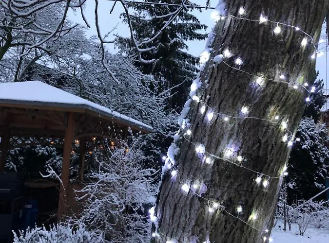 Jodla I Modrzew Przy Parku I Termach W Centrum Uzdrowiska * 옐레니아구라