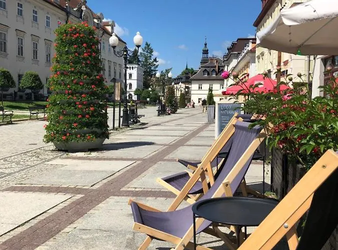 Jodła I Modrzew Jelenia Góra