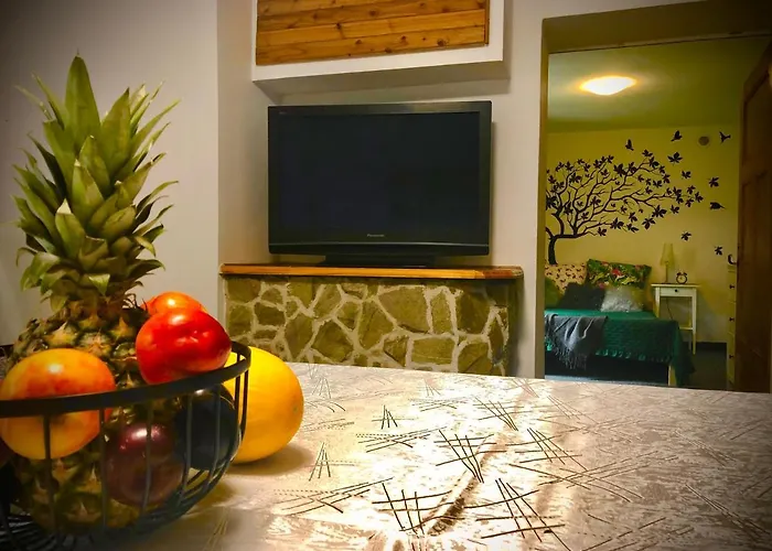 Jodla I Modrzew Przy Parku I Termach W Centrum Uzdrowiska * Jelenia Góra