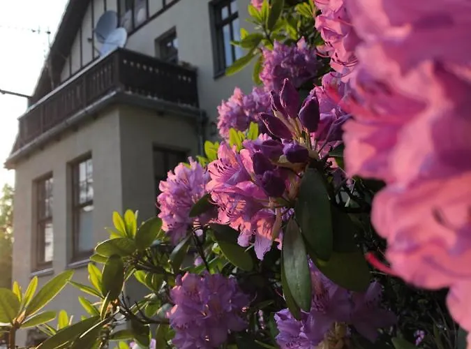 Jodla I Modrzew Przy Parku I Termach W Centrum Uzdrowiska