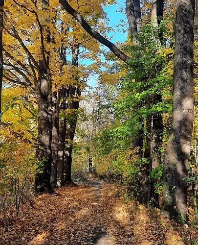 Jodla I Modrzew Przy Parku I Termach W Centrum Uzdrowiska