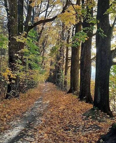 Jodla I Modrzew Appartement